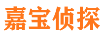 静海市侦探公司